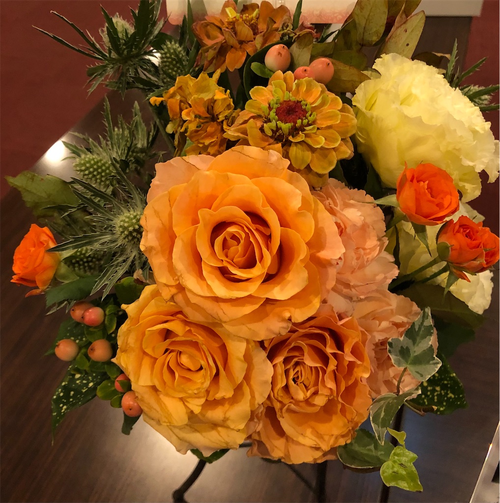 f:id:yururi3ptl:20230222230712j:image f:id:yururi3ptl:20230222230712j:image