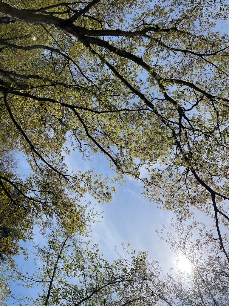 f:id:yururi_kurashi:20240415111225j:image f:id:yururi_kurashi:20240415111225j:image
