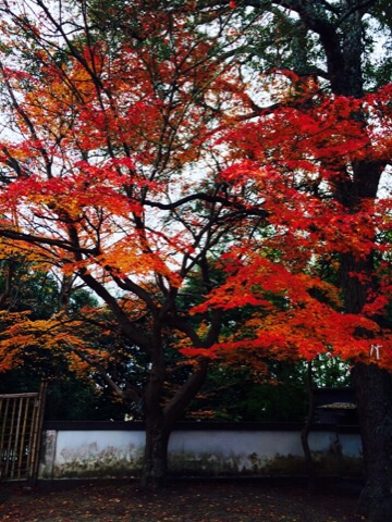 f:id:yururiururi:20151220001920j:plain