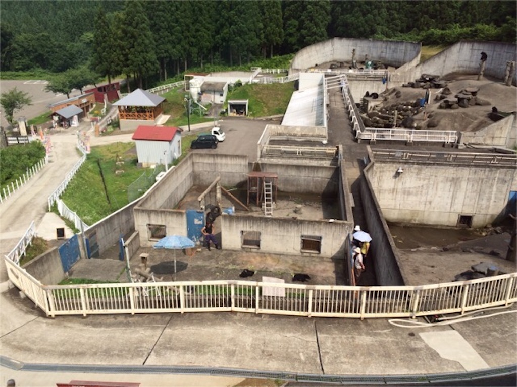f:id:yururiururi:20161118210144j:image