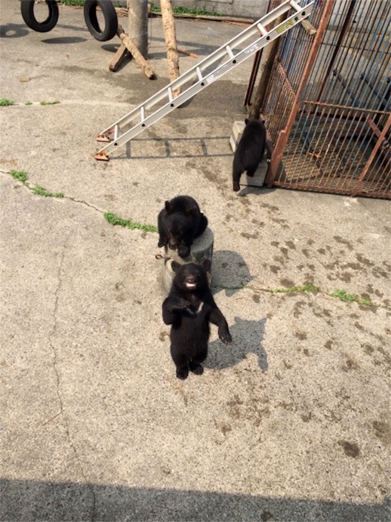 f:id:yururiururi:20161118210935j:image