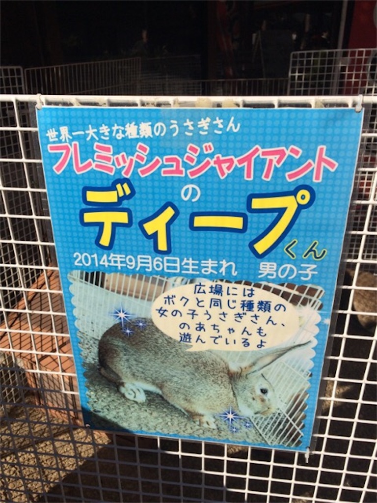 f:id:yururiururi:20170108200707j:image f:id:yururiururi:20170108200707j:image