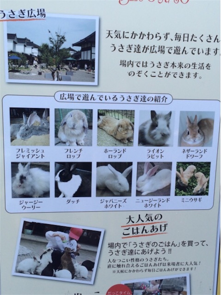 f:id:yururiururi:20170108202556j:image f:id:yururiururi:20170108202556j:image