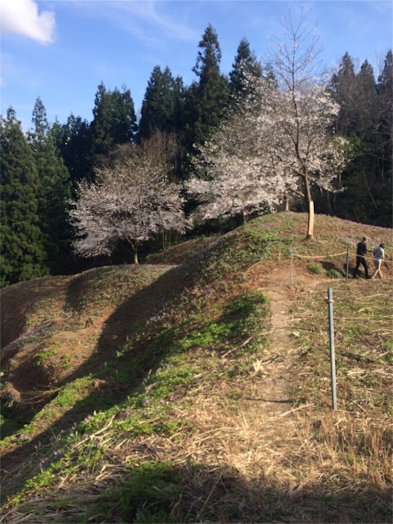 f:id:yururiururi:20170422230843j:image f:id:yururiururi:20170422230843j:image