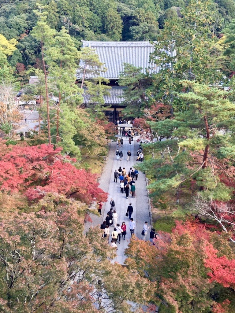 f:id:yururiururi:20181116224329j:image