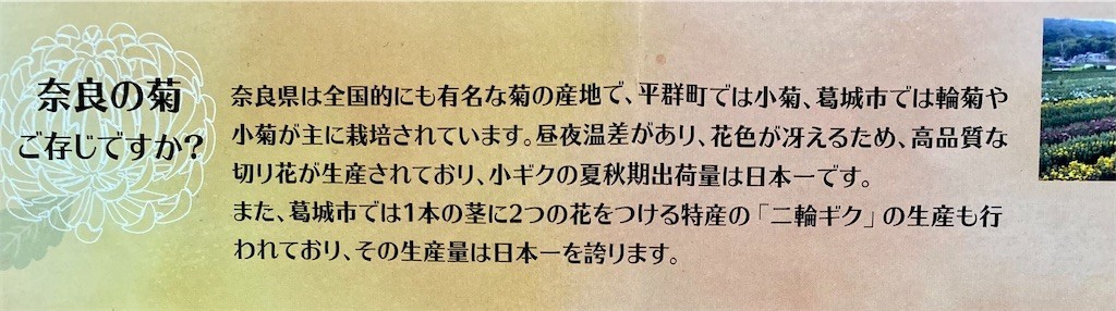 f:id:yururiururi:20211015214943j:plain