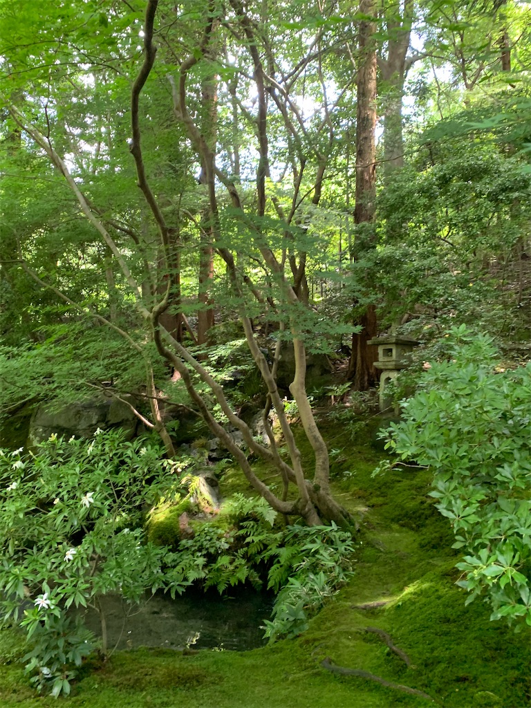 f:id:yururiyururi:20200903230153j:image
