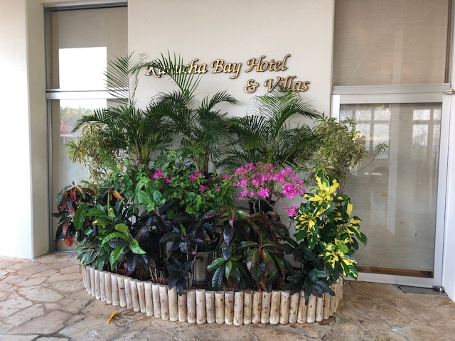 f:id:yururupon:20190729211105j:plain f:id:yururupon:20190729211105j:plain