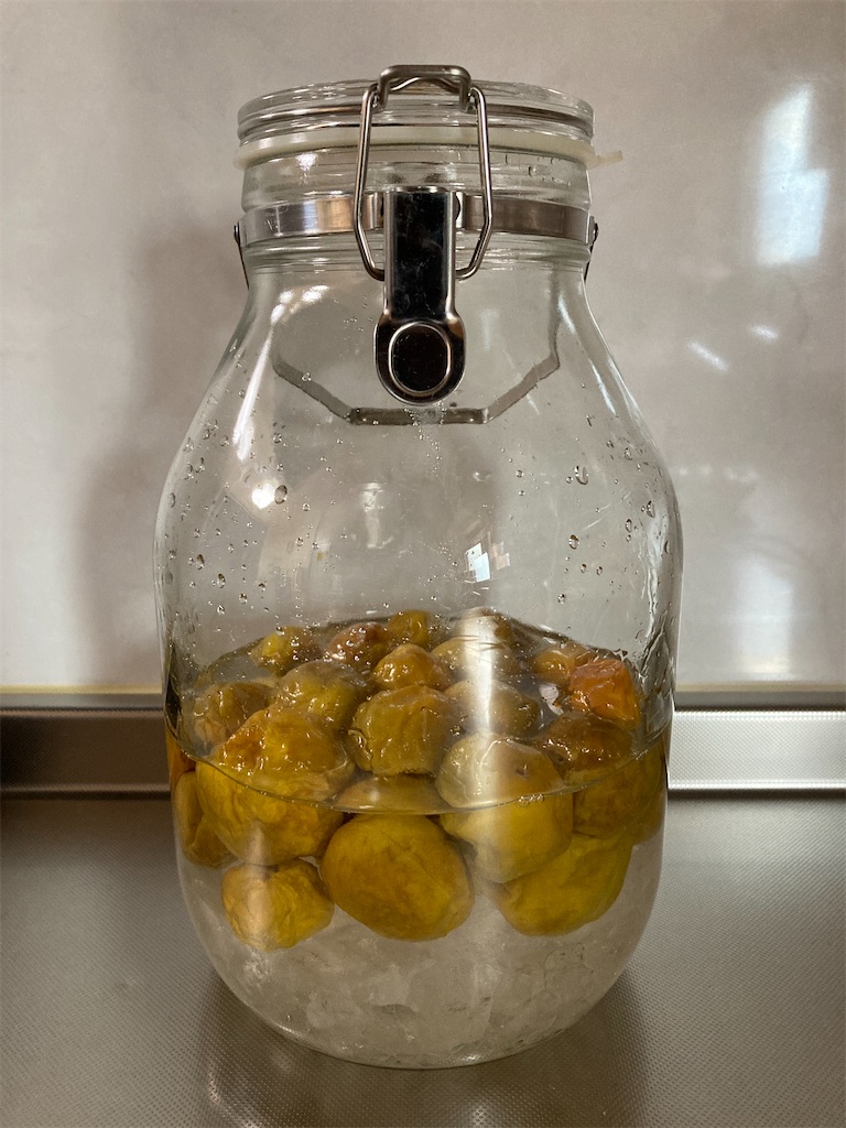 f:id:yurutotolife:20230626072911j:image