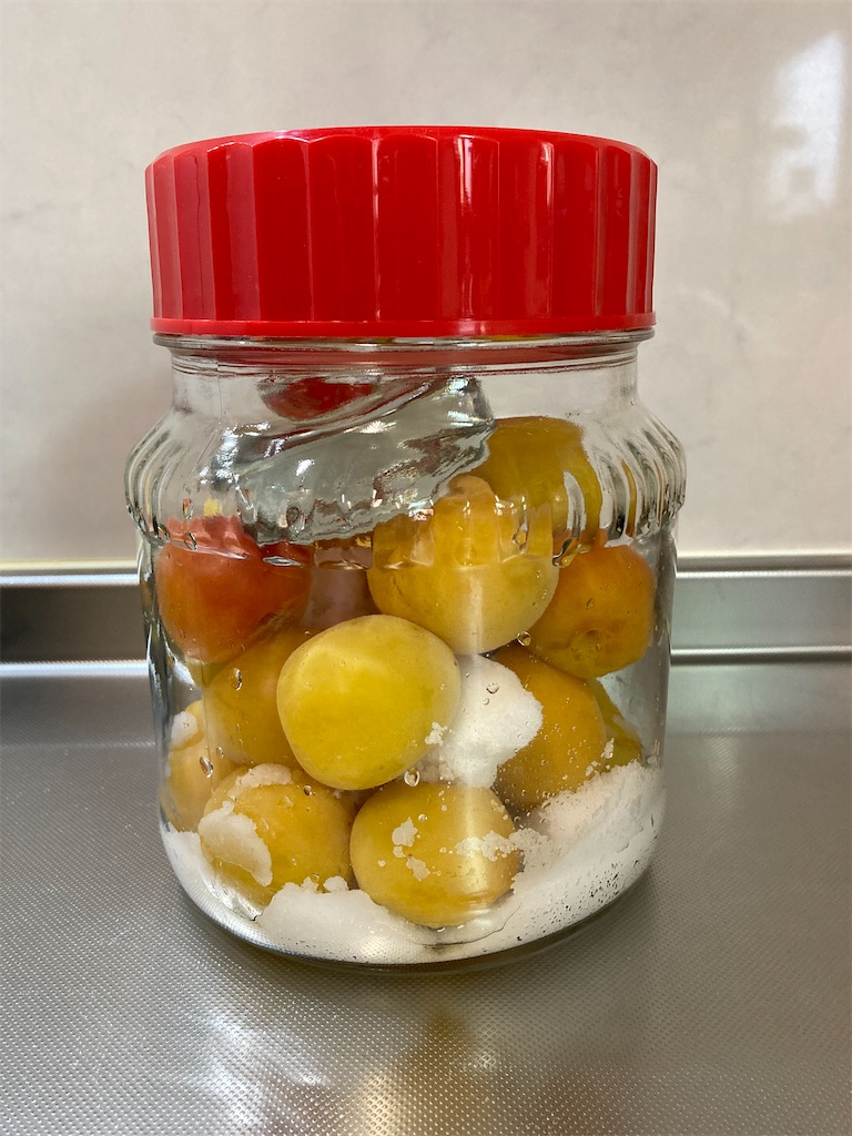 f:id:yurutotolife:20230717114844j:image