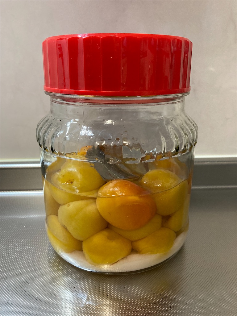 f:id:yurutotolife:20230717114846j:image