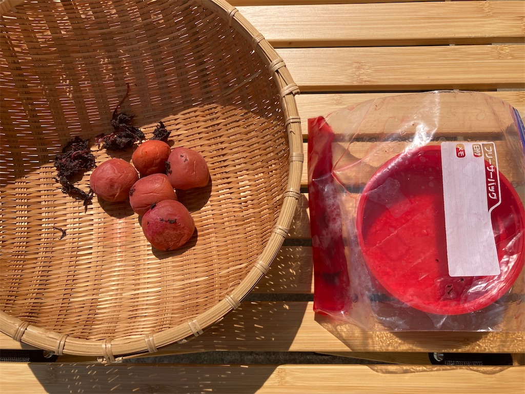 f:id:yurutotolife:20240601162508j:image f:id:yurutotolife:20240601162508j:image