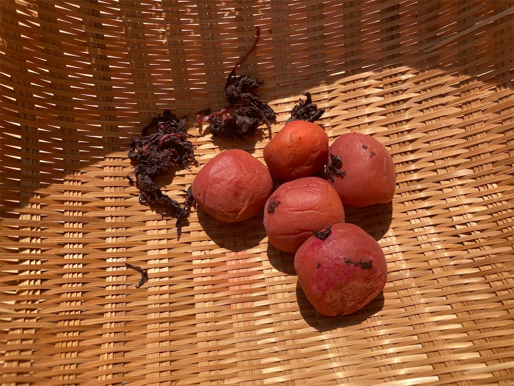 f:id:yurutotolife:20240601162525j:image f:id:yurutotolife:20240601162525j:image