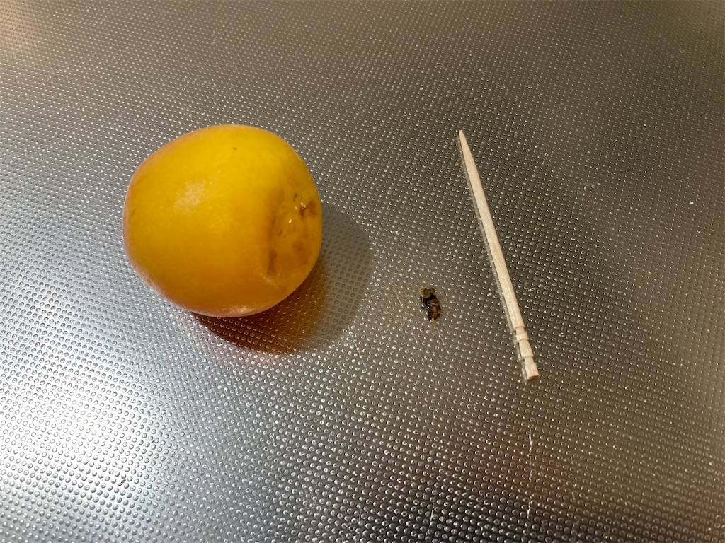 f:id:yurutotolife:20240601163501j:image f:id:yurutotolife:20240601163501j:image