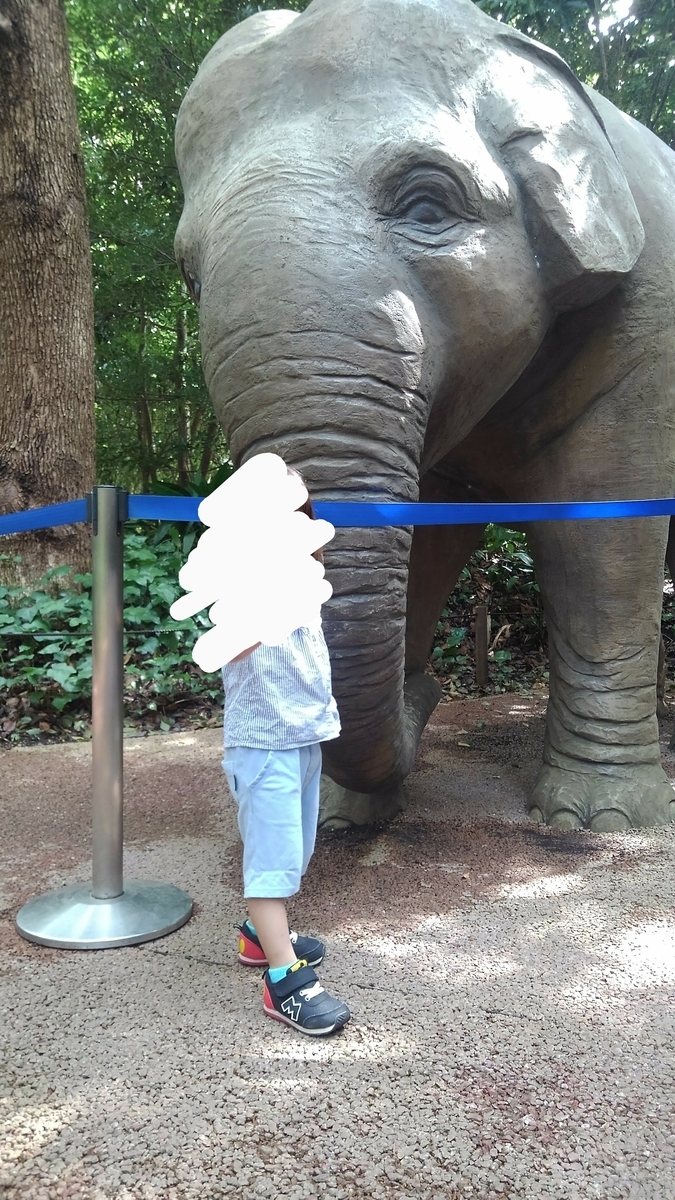 3歳と行くよこはま動物園ズーラシアのおすすめ 一児母のゆるっとーく 3歳と行くよこはま動物園ズーラシアのおすすめ 一児母のゆるっとーく