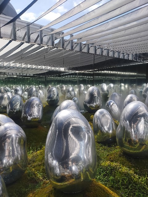 f:id:yuruuuucafe:20240921223108j:image f:id:yuruuuucafe:20240921223108j:image