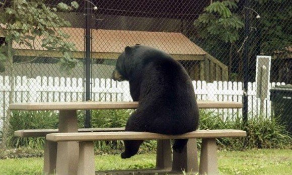 f:id:yuruyururaifu:20170820222214j:plain