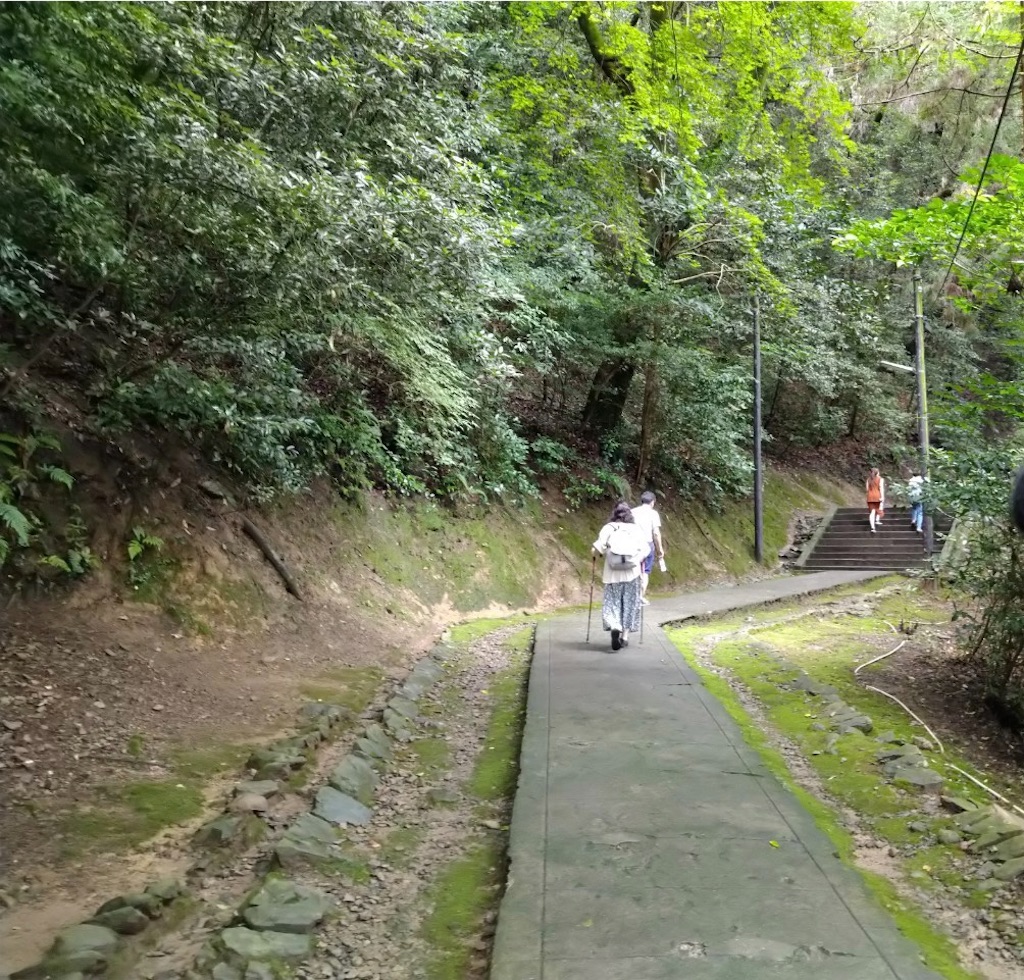 f:id:yuruyurutraveldiary:20210721211244j:image f:id:yuruyurutraveldiary:20210721211244j:image