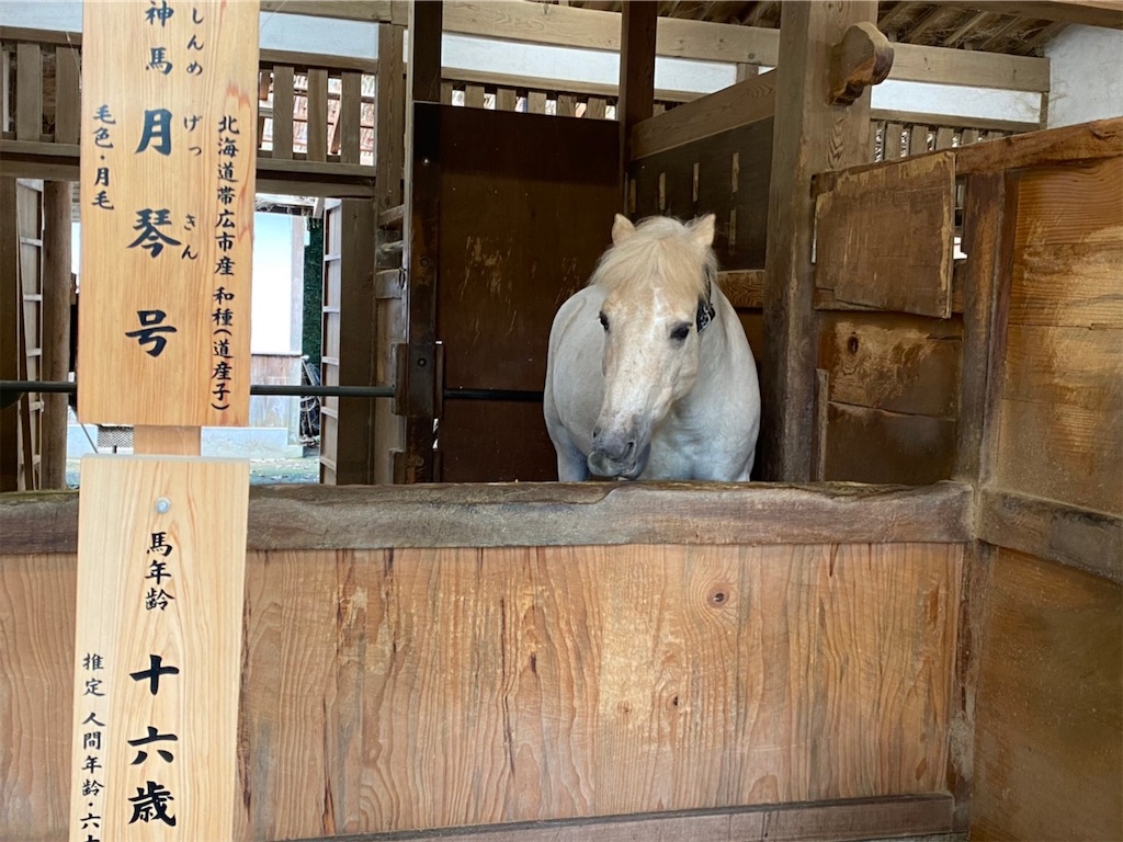 f:id:yuruyurutraveldiary:20210722104439j:image f:id:yuruyurutraveldiary:20210722104439j:image