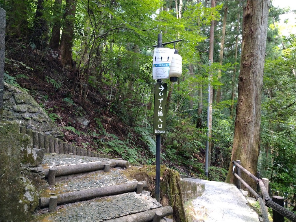 f:id:yuruyurutraveldiary:20210811232357j:image