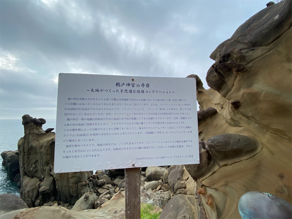 f:id:yuruyurutraveldiary:20260201153515j:image f:id:yuruyurutraveldiary:20260201153515j:image