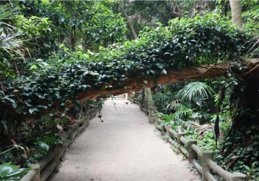 f:id:yuruyurutraveldiary:20260201203853j:image f:id:yuruyurutraveldiary:20260201203853j:image