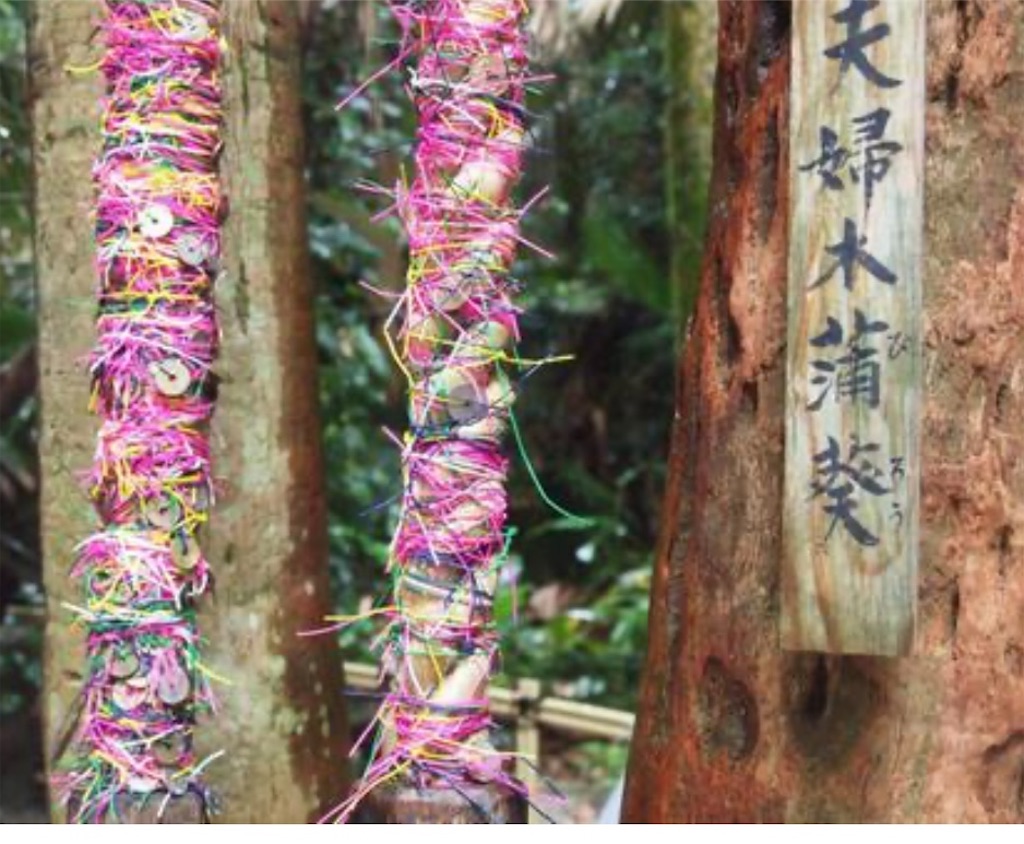 f:id:yuruyurutraveldiary:20260201204626j:image f:id:yuruyurutraveldiary:20260201204626j:image