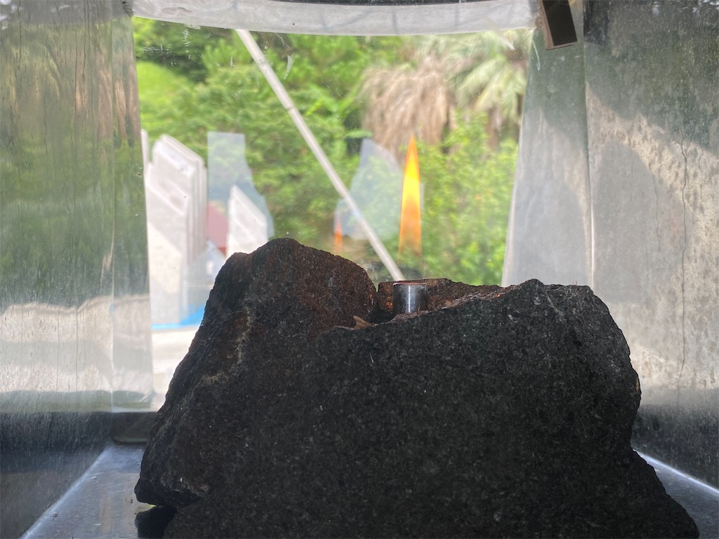 f:id:yuruyurutraveldiary:20260201230702j:image f:id:yuruyurutraveldiary:20260201230702j:image