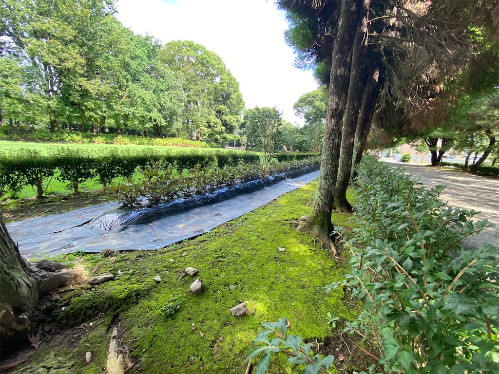f:id:yuruyurutraveldiary:20260210223522j:image f:id:yuruyurutraveldiary:20260210223522j:image