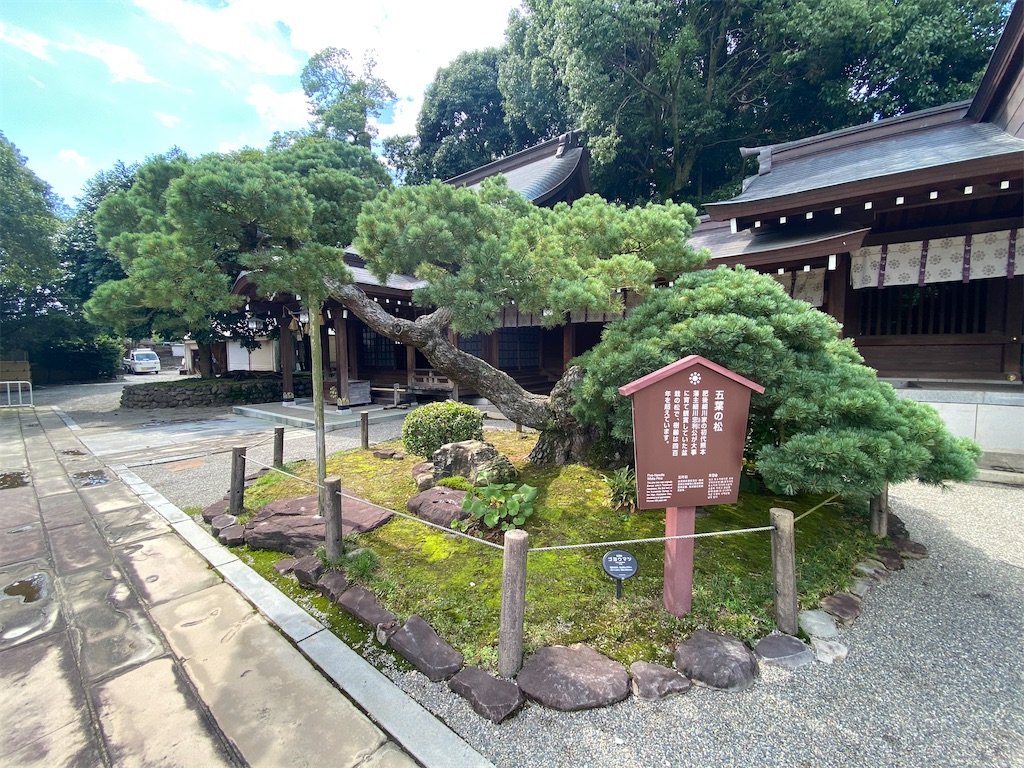 f:id:yuruyurutraveldiary:20260210223534j:image f:id:yuruyurutraveldiary:20260210223534j:image