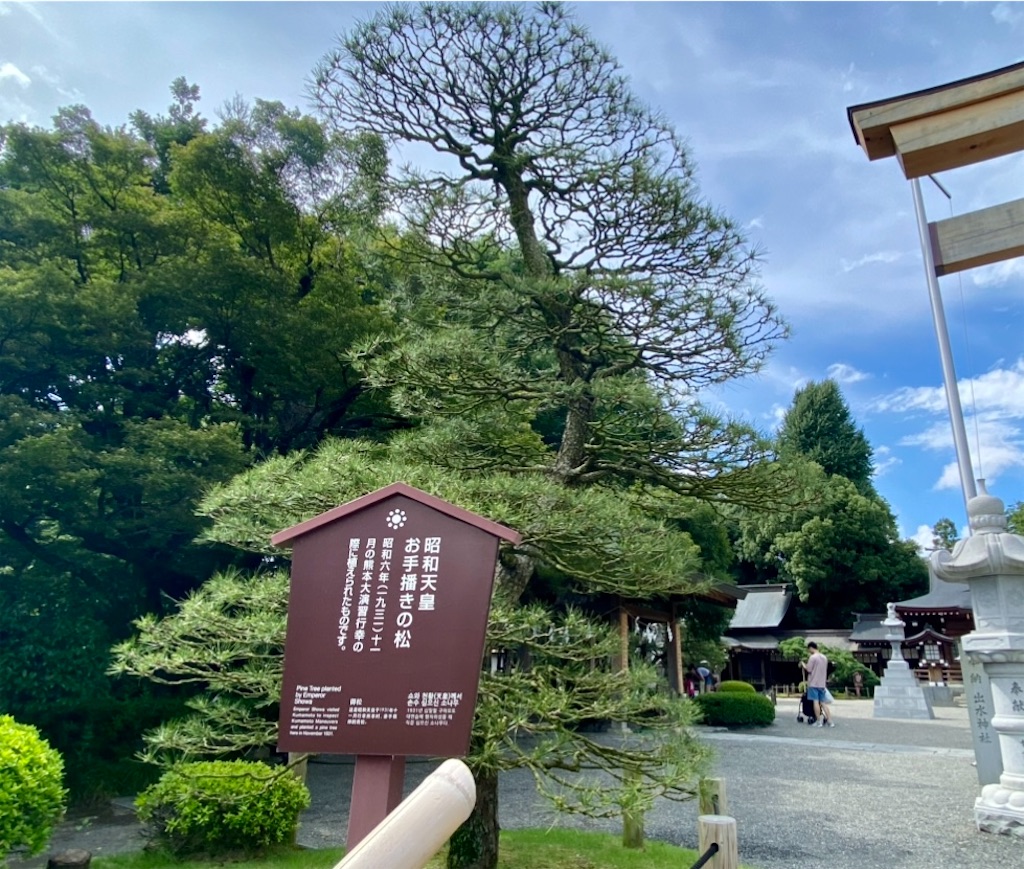 f:id:yuruyurutraveldiary:20260210233401j:image f:id:yuruyurutraveldiary:20260210233401j:image