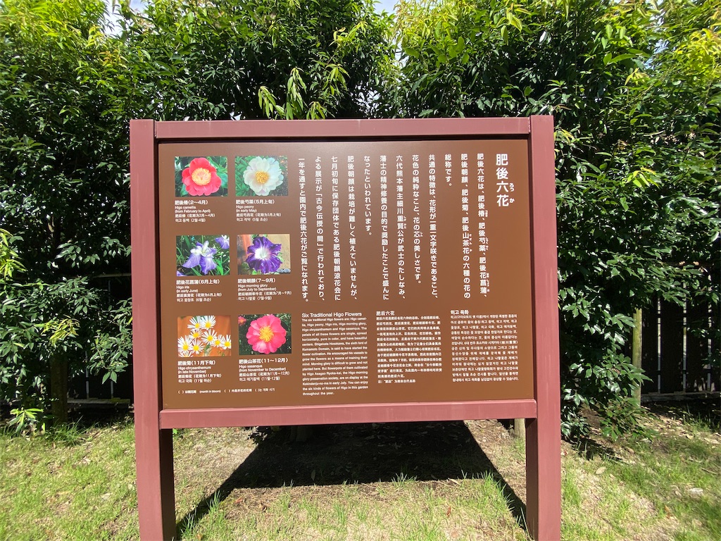 f:id:yuruyurutraveldiary:20260211140611j:image f:id:yuruyurutraveldiary:20260211140611j:image