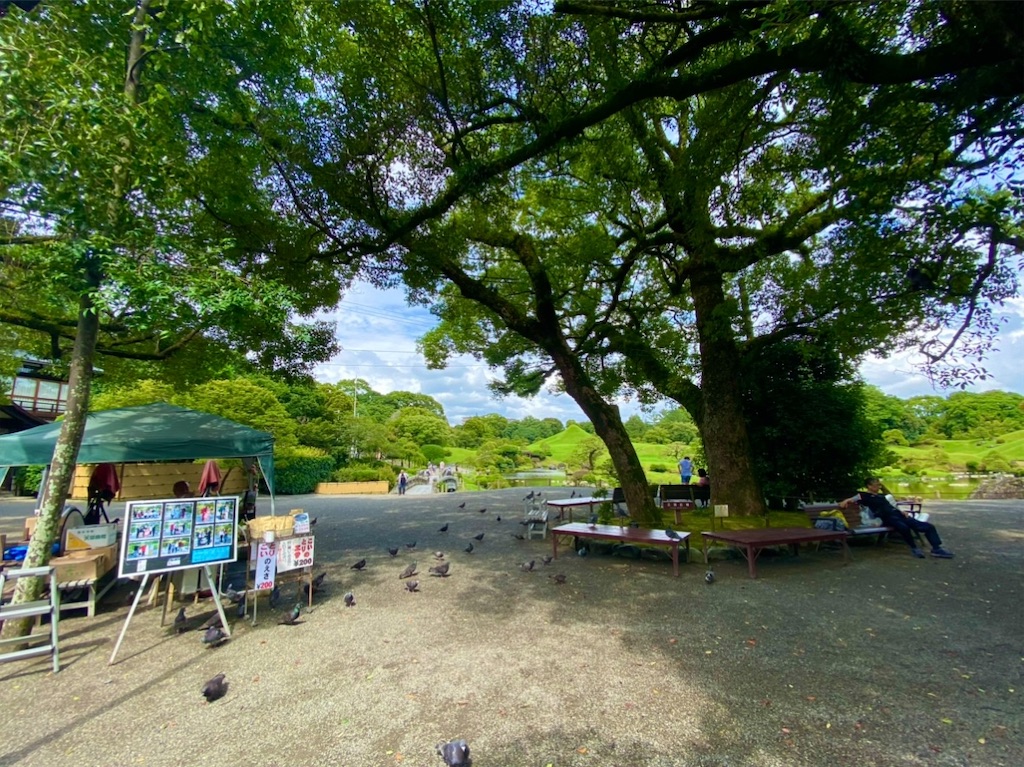 f:id:yuruyurutraveldiary:20260211192013j:image f:id:yuruyurutraveldiary:20260211192013j:image