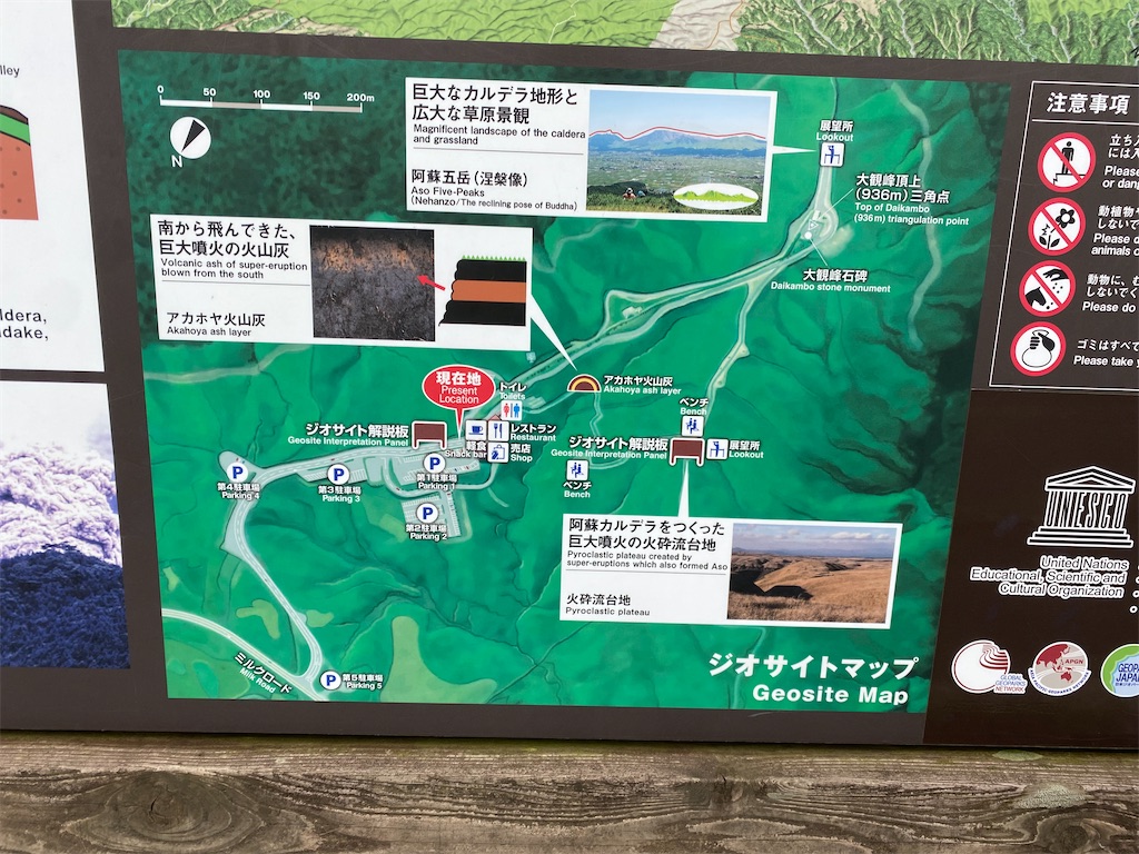 f:id:yuruyurutraveldiary:20260214201655j:image f:id:yuruyurutraveldiary:20260214201655j:image
