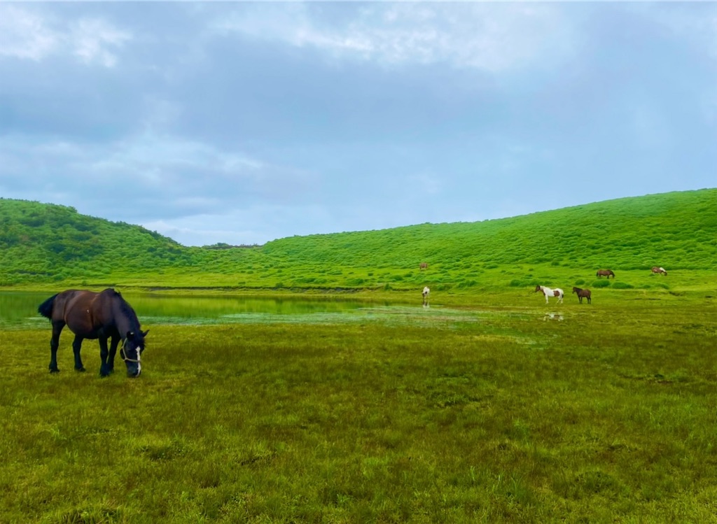 f:id:yuruyurutraveldiary:20260219003747j:image f:id:yuruyurutraveldiary:20260219003747j:image