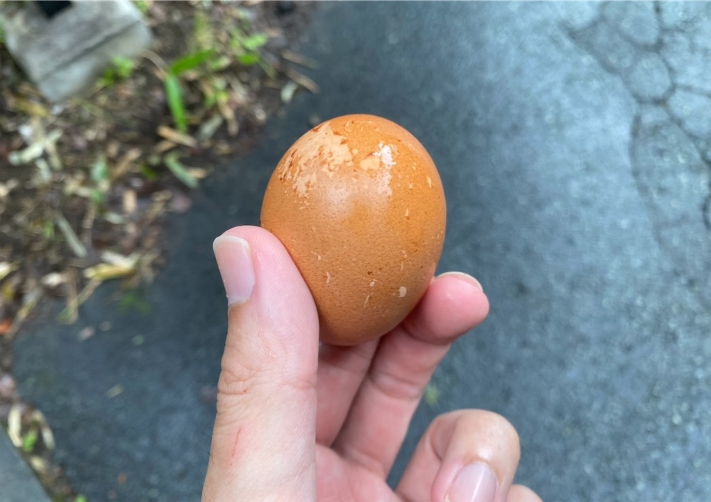 f:id:yuruyurutraveldiary:20260224232332j:image f:id:yuruyurutraveldiary:20260224232332j:image