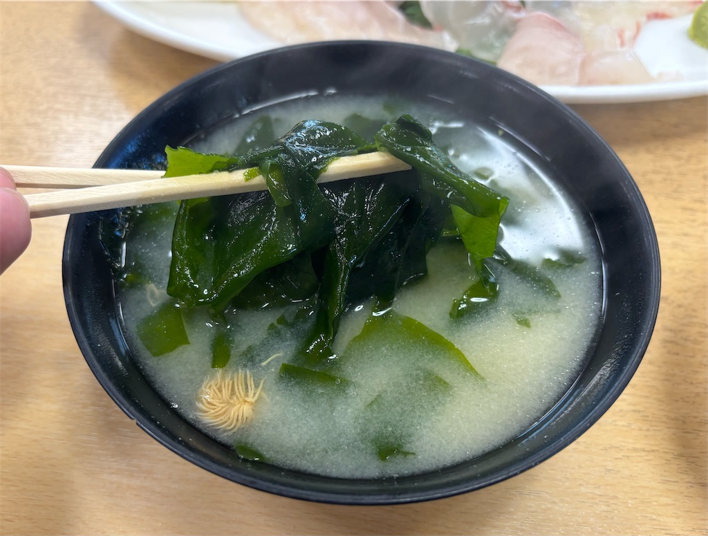 f:id:yuruyurutraveldiary:20260412201839j:image f:id:yuruyurutraveldiary:20260412201839j:image