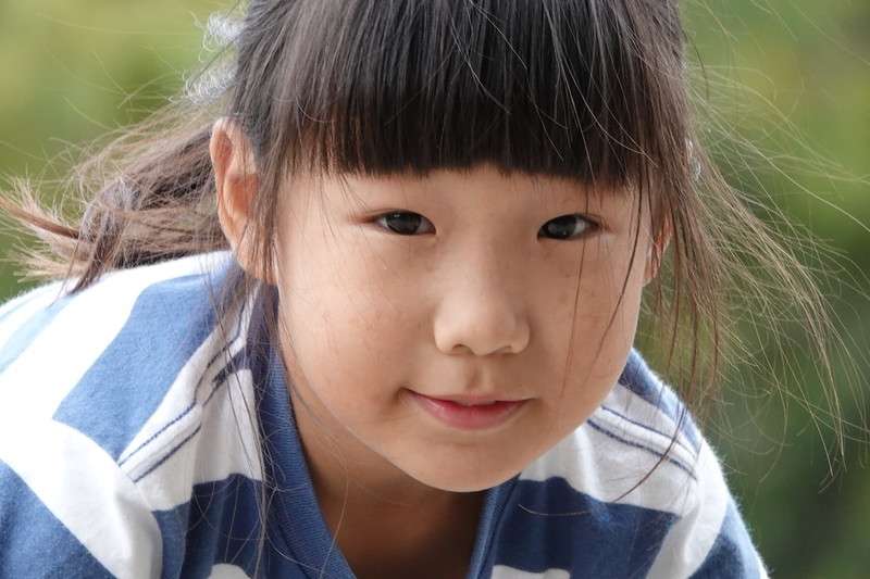 f:id:yusakurin:20200920134441j:plain