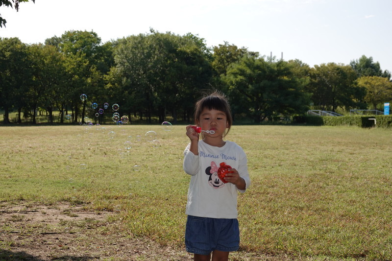 f:id:yusakurin:20201013142012j:plain