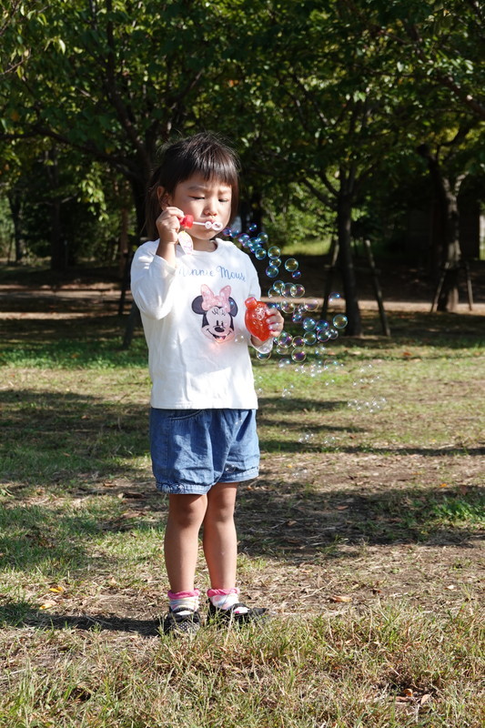 f:id:yusakurin:20201013142231j:plain
