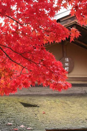 f:id:yusei2000:20061121084507j:image f:id:yusei2000:20061121084507j:image