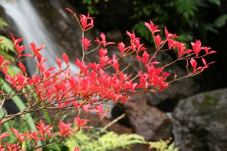 f:id:yusei2000:20061123211703j:image