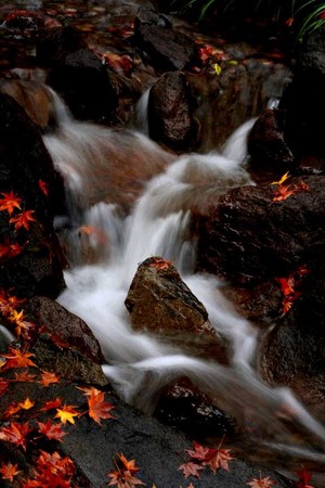 f:id:yusei2000:20061127205634j:image