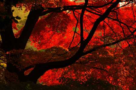 f:id:yusei2000:20071209130102j:image