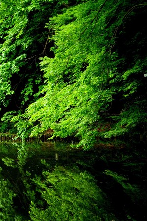 f:id:yusei2000:20080505095314j:image