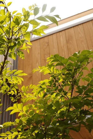 f:id:yusei2000:20080517190938j:image