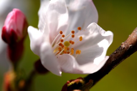 f:id:yusei2000:20090402142312j:image