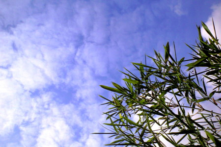 f:id:yusei2000:20091001102724j:image