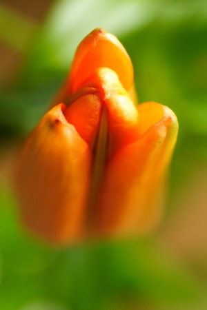 f:id:yusei2000:20100429112910j:image