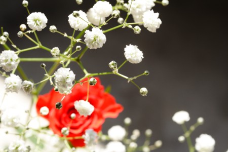 f:id:yusei2000:20100608083449j:image